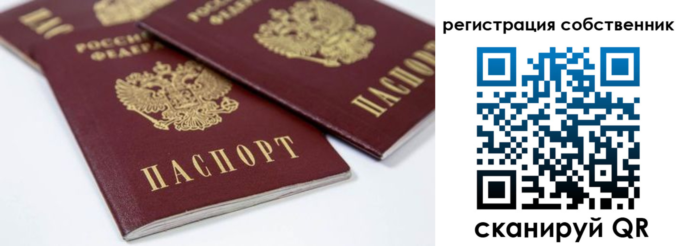 прописка для школы в Ковылкино
